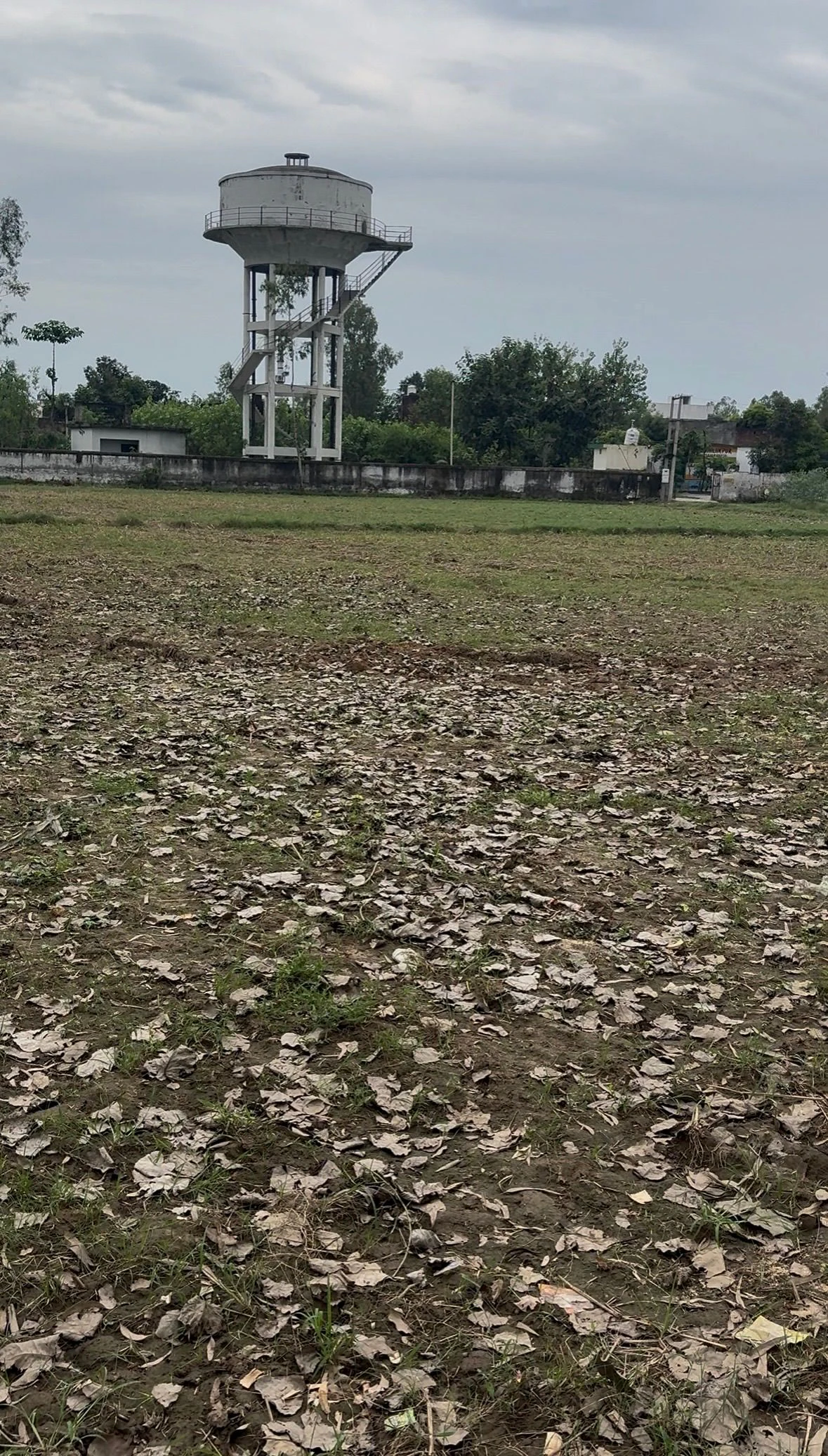Chilkana, Saharanpur, Uttar Pradesh 247231, India