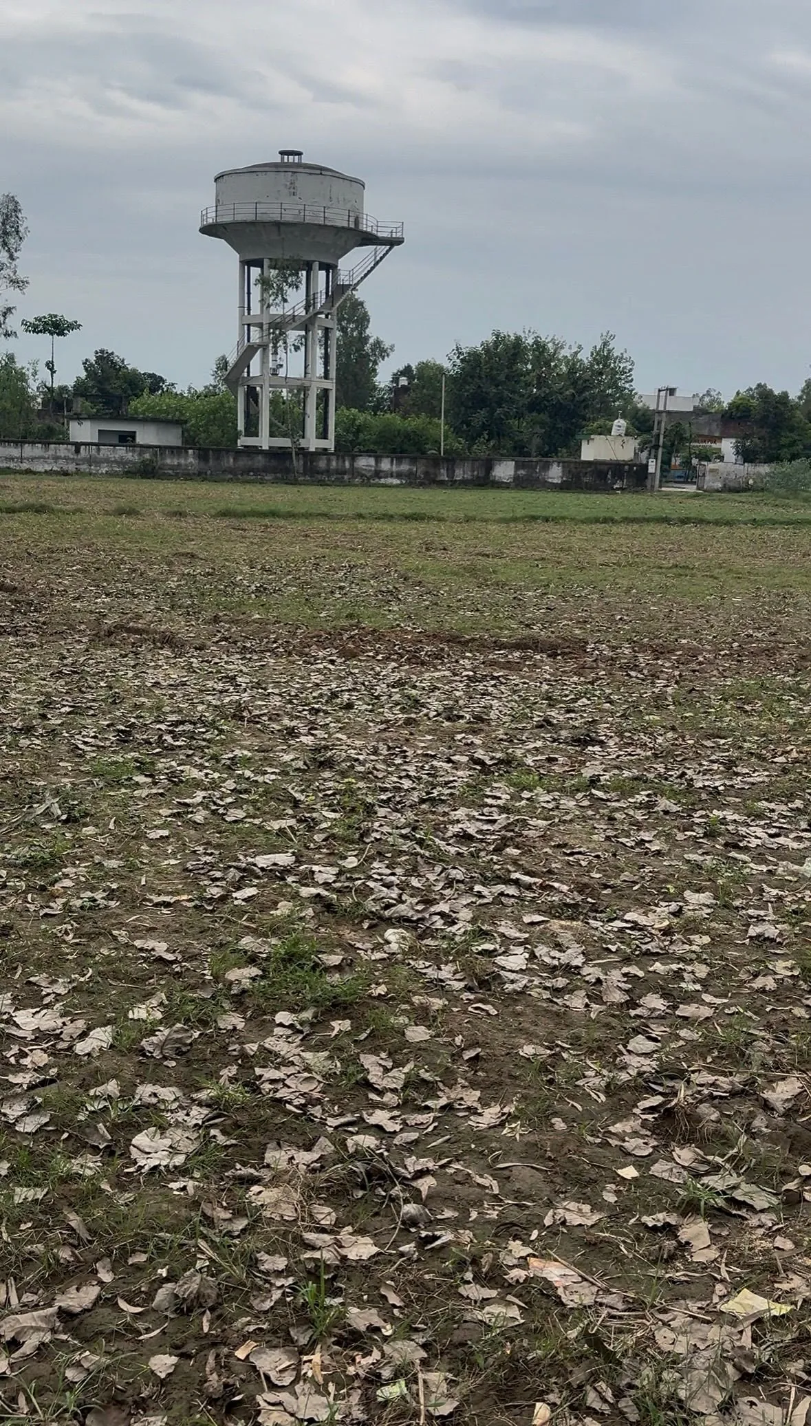 Chilkana, Saharanpur, Uttar Pradesh 247231, India