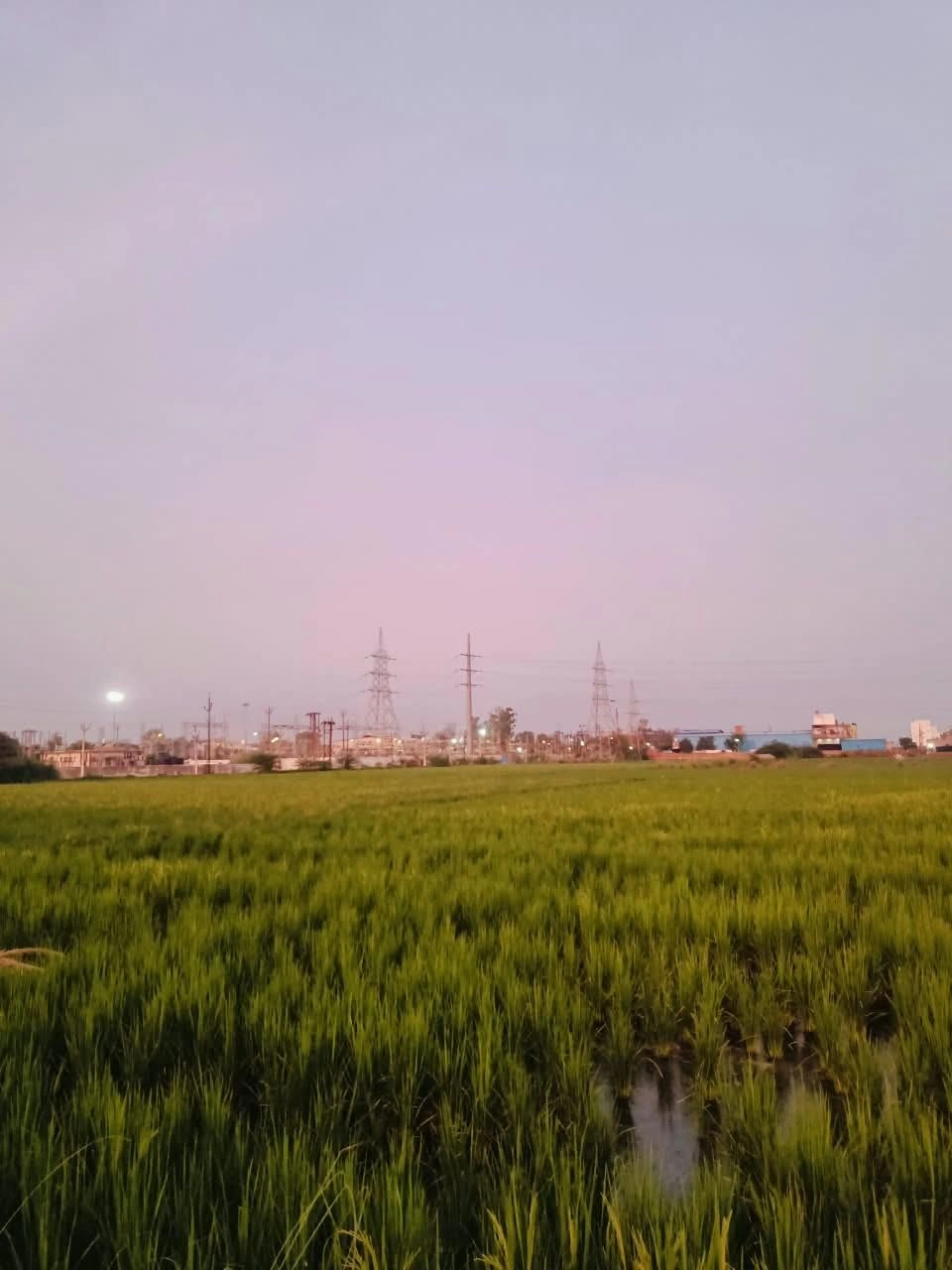 Bukharari, Mathura, Uttar Pradesh, India