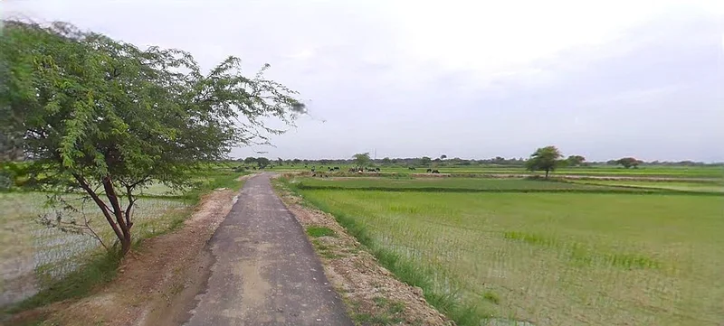 Ingoriya, Madhya Pradesh 456222, India preview 3