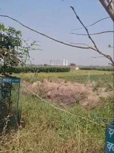 Fatehpur, Bihar 800007, India preview 3