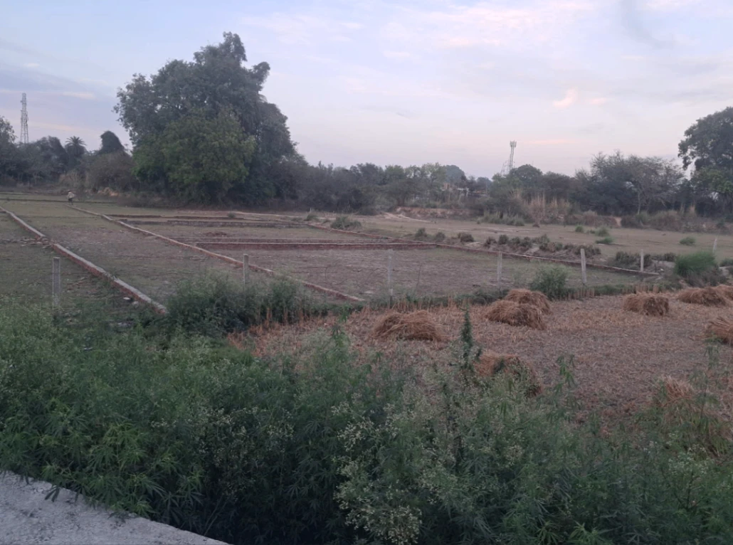 Mehna, Punjab 142011, India