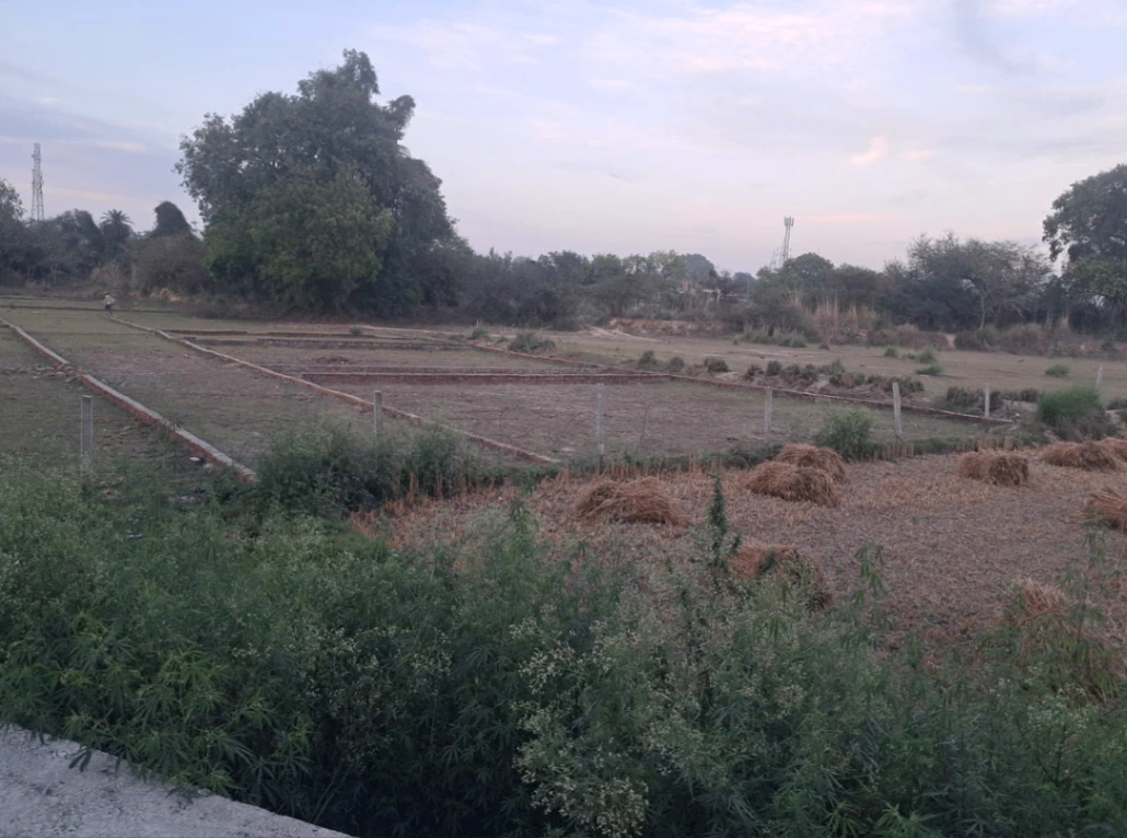 Mehna, Punjab 142011, India