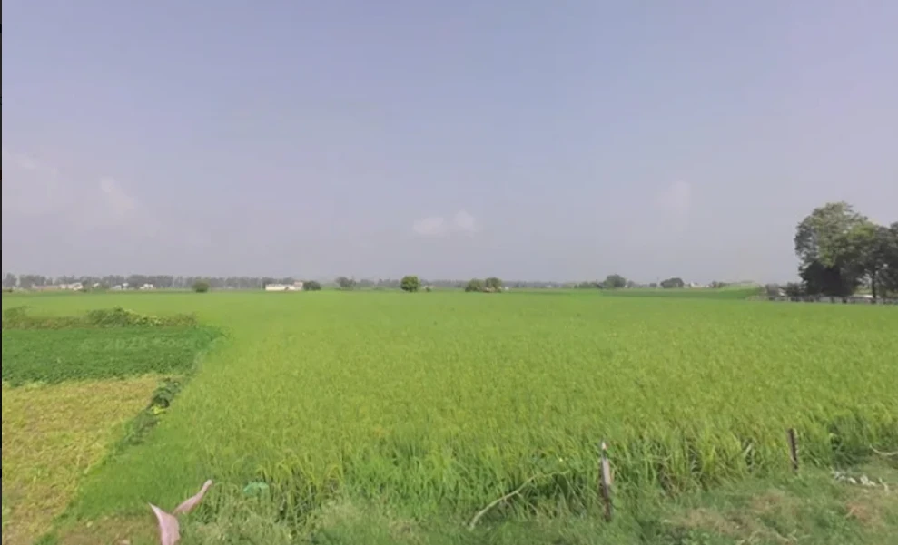 Khatoo, Rajasthan 332602, India