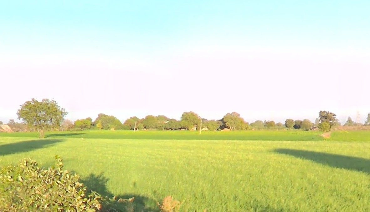 Gopalpura, Madhya Pradesh 475673, India