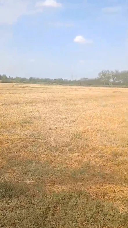 7Q58+87 Pinan, Alwar, Rajasthan, India