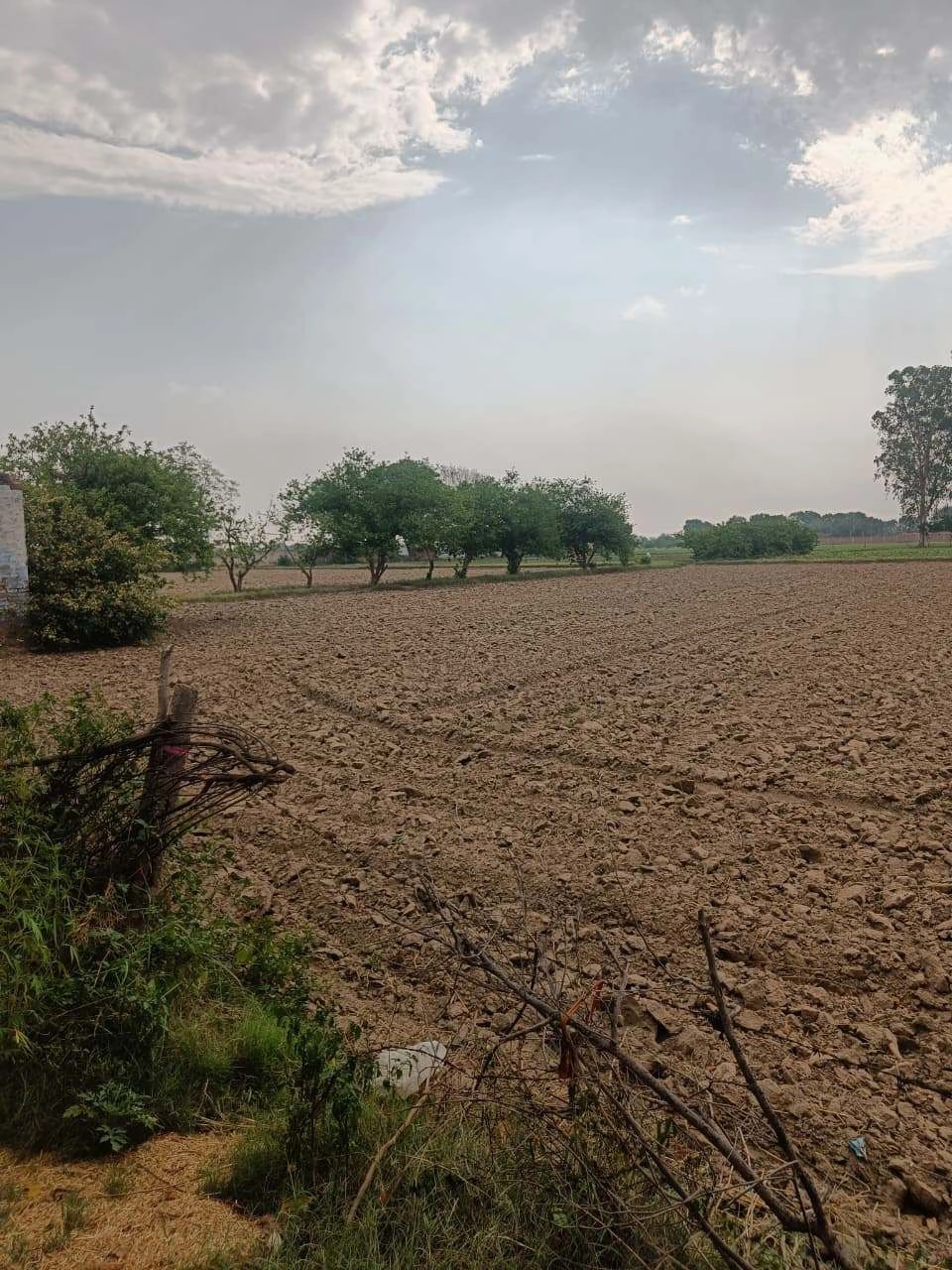 Chhata, Uttar Pradesh 281401, India
