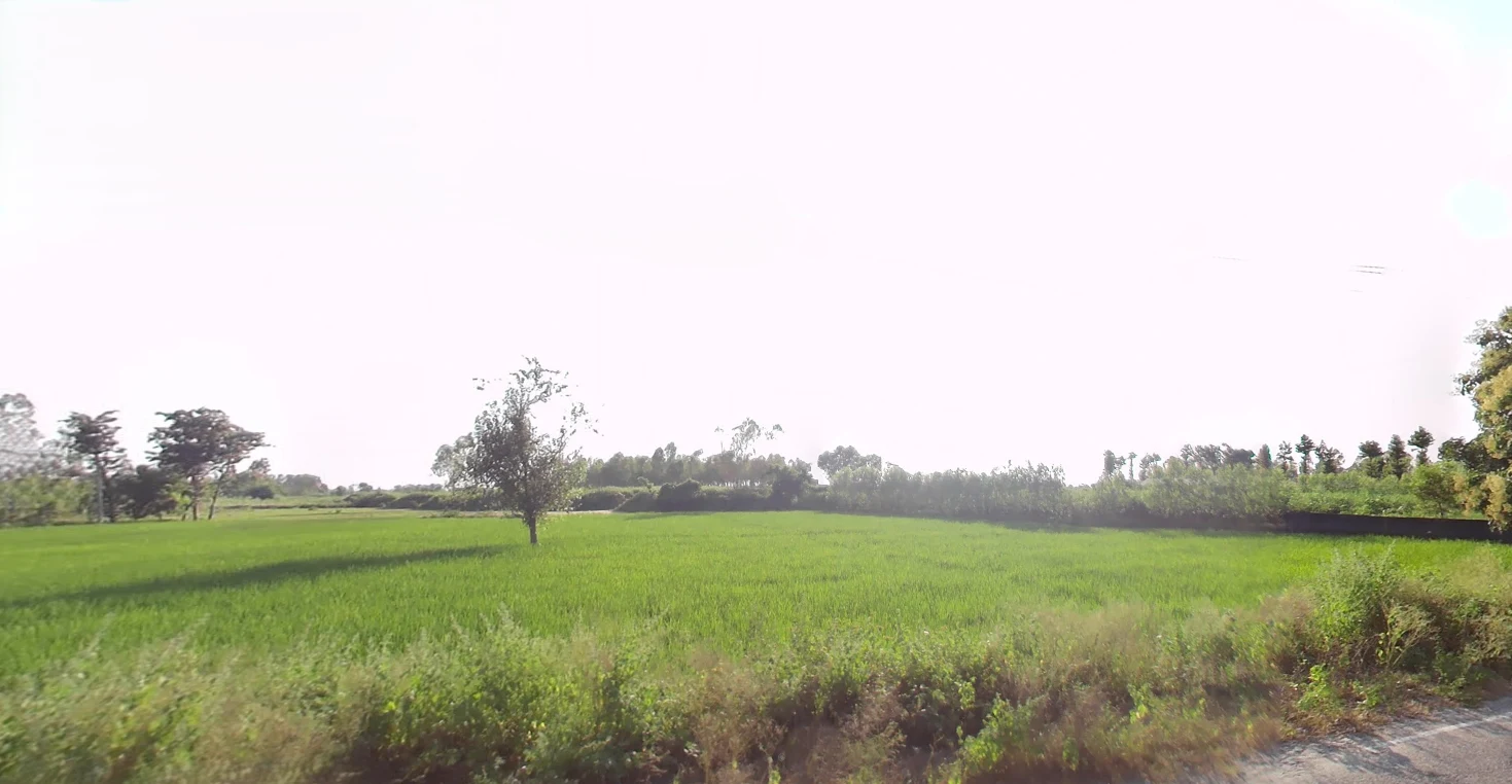 Biharigarh, Uttar Pradesh 247662, India preview 2