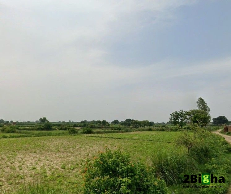 Bithoor, Uttar Pradesh 209217, India