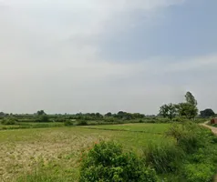 Bithoor, Uttar Pradesh 209217, India preview 2