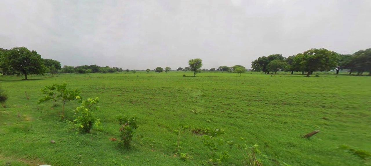 Bijnor, Uttar Pradesh 246701, India