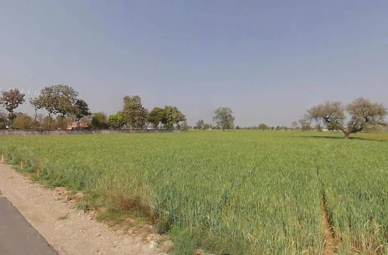 Narayanpur, Rajasthan 301024, India preview 2