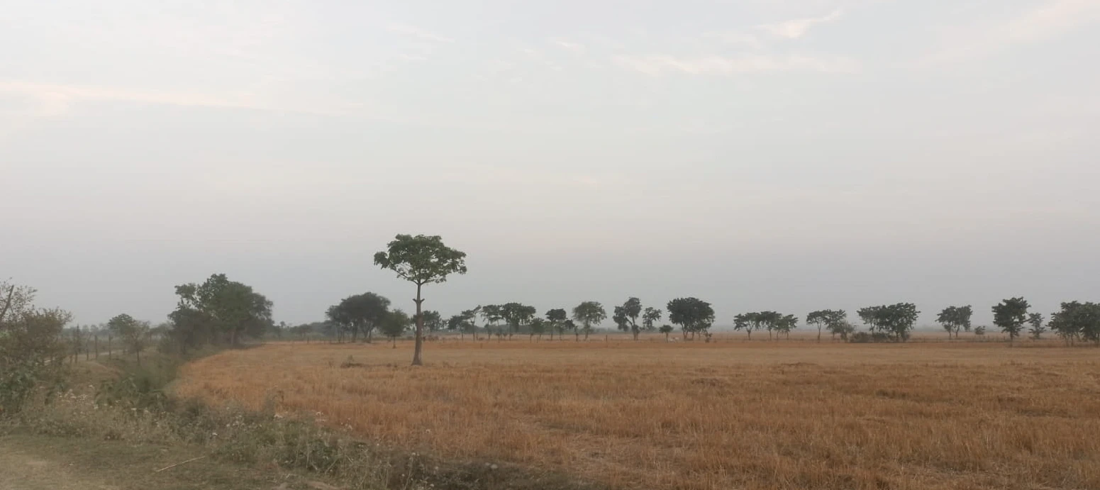 Mangli (Uchi), Ludhiana, Punjab, India