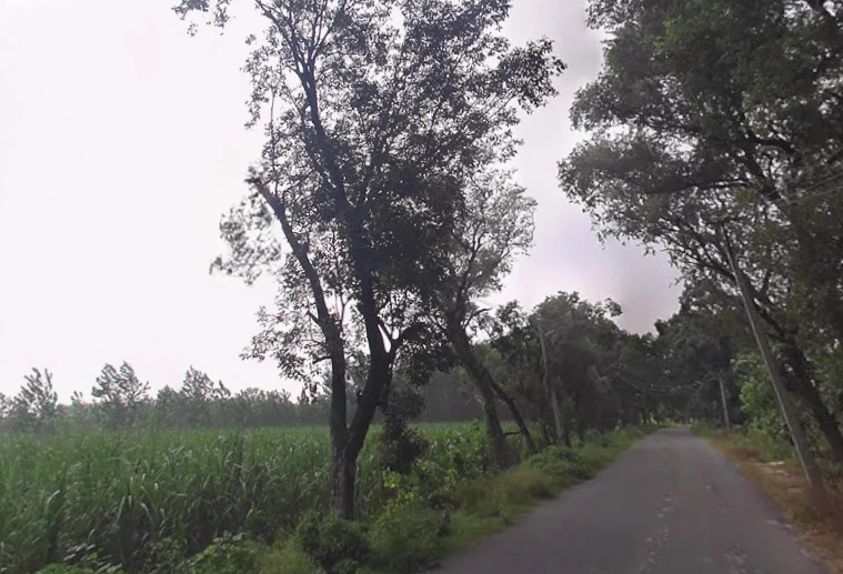 Rampur Maniharan Dehat, Uttar Pradesh 247451, India