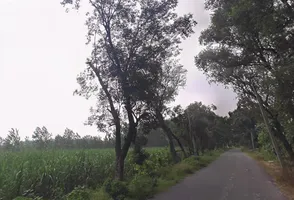 Rampur Maniharan Dehat, Uttar Pradesh 247451, India preview 3