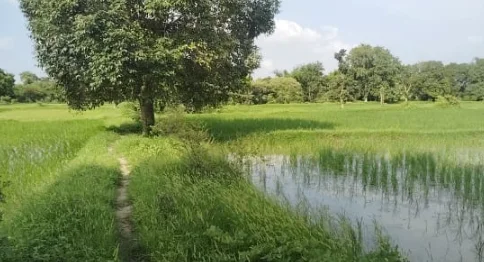 Mavaiya Kala, Uttar Pradesh, India preview 2