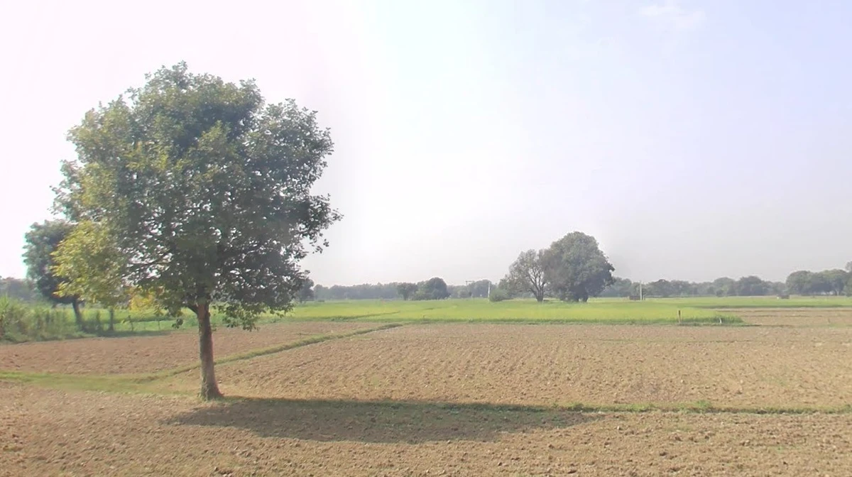 Chargawan, Madhya Pradesh 482003, India