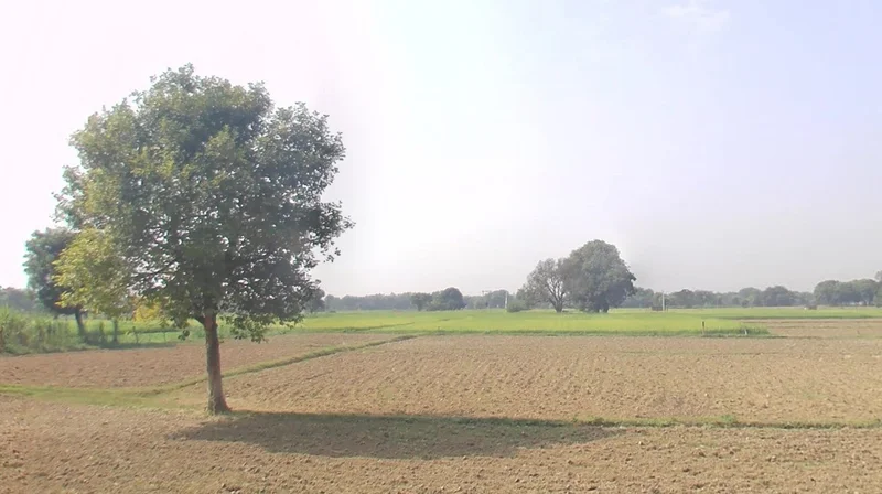 Chargawan, Madhya Pradesh 482003, India preview 2