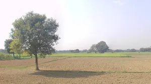 Chargawan, Madhya Pradesh 482003, India preview 2
