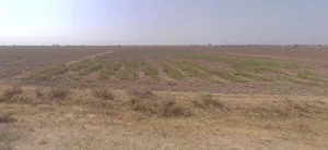 Karjala, Gujarat 364515, India preview 3