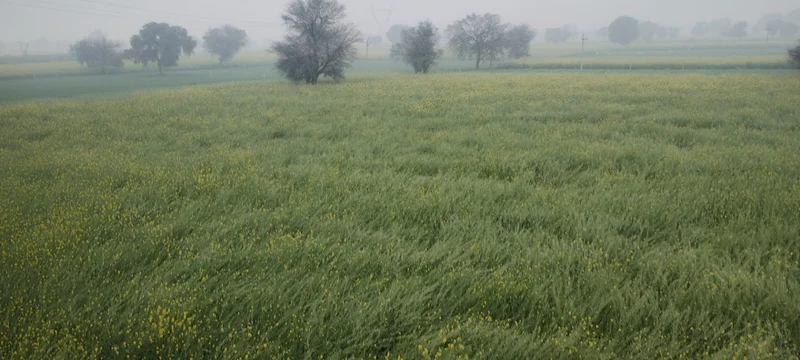 Barodameo, Rajasthan 301021, India preview 2