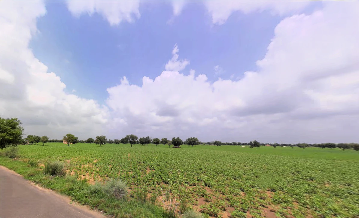 Chaudhari Wali, Haryana 125004, India