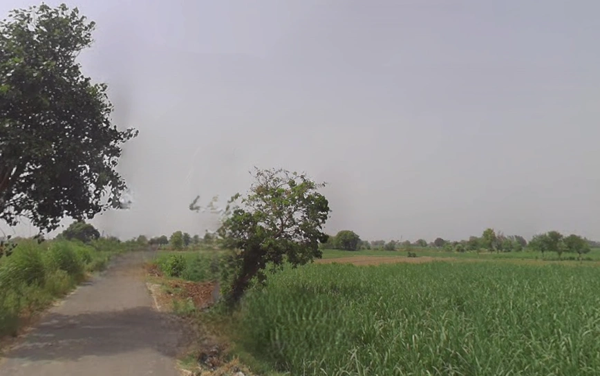 Pitowas, Uttar Pradesh 203408, India