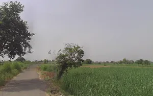 Pitowas, Uttar Pradesh 203408, India preview 2