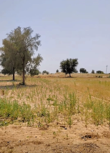 Bhanipura, Rajasthan 331411, India