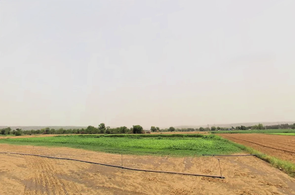 Raiseena, Haryana 122102, India