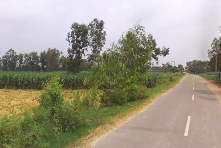 Behat, Uttar Pradesh 247121, India