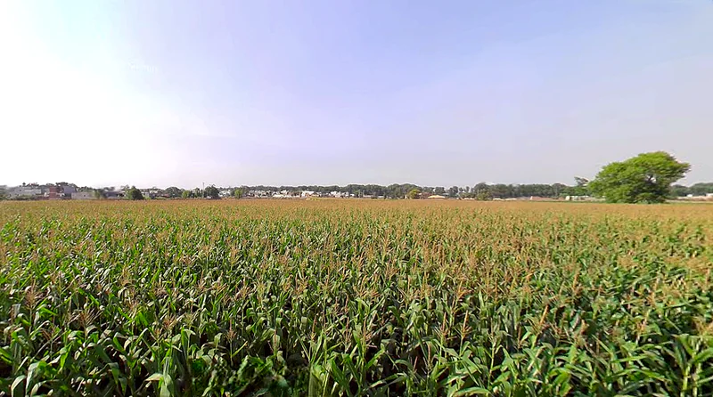 Thuhi, Punjab 147201, India preview 3