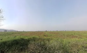 Khori, Haryana 123101, India preview 3