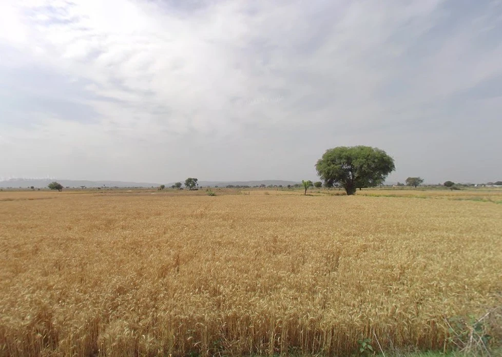 JRPQ+CG Khojaka, Rajasthan, India