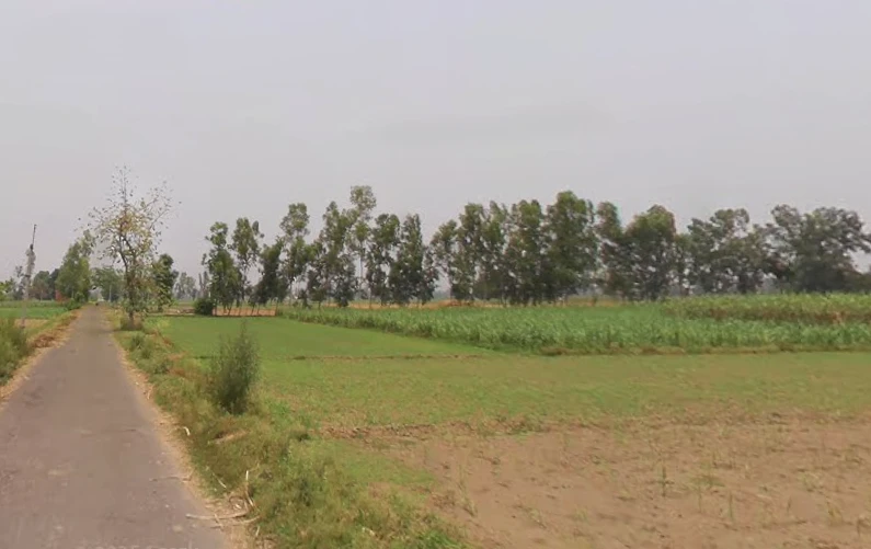 Kithaur, Uttar Pradesh 250104, India