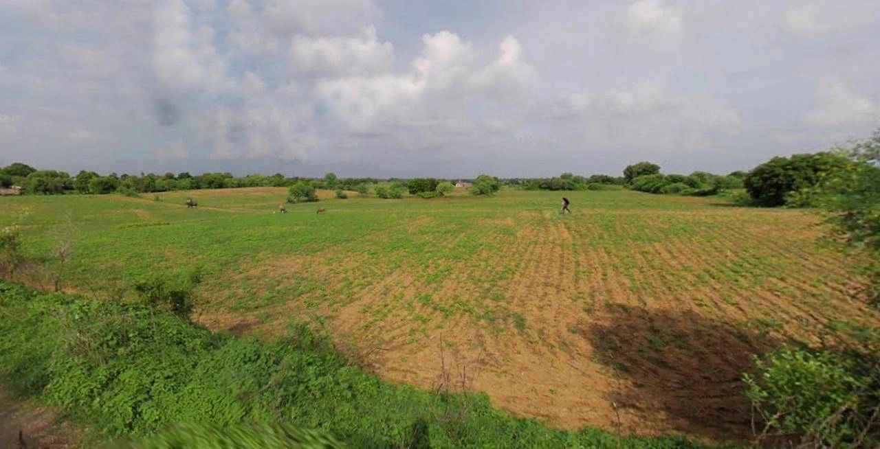 Bijnor, Uttar Pradesh 246701, India