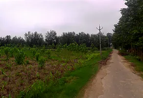 Salampur Gadda, Uttar Pradesh 247001, India preview 2