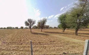 VJ2H+J8X, Jaipur, Theekariya, Rajasthan 302042, India preview 2