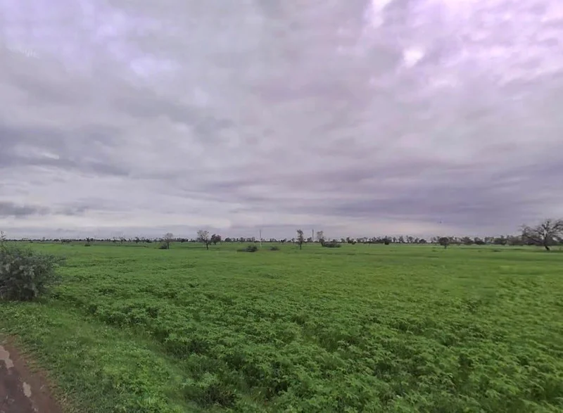 596P+VVJ, Mahua, Rajasthan 321303, India preview 2