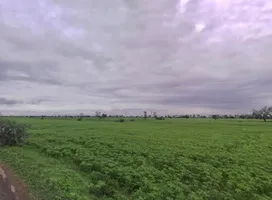 596P+VVJ, Mahua, Rajasthan 321303, India preview 2