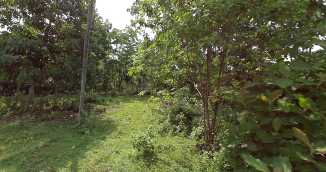 697J+MX3, Karayamparambu, Karukutty, Angamaly, Kerala 683576, India