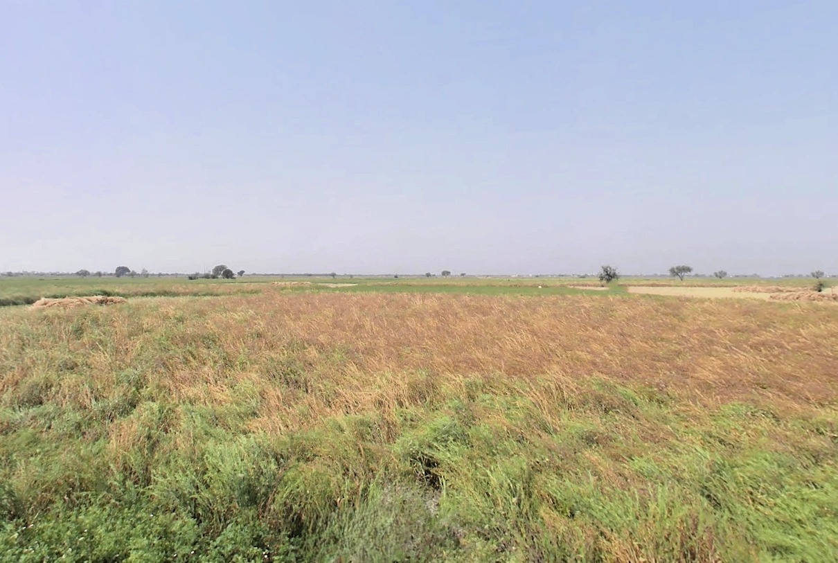Nangla, Haryana 124103, India