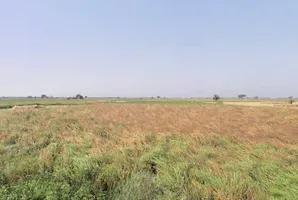 Nangla, Haryana 124103, India preview 3