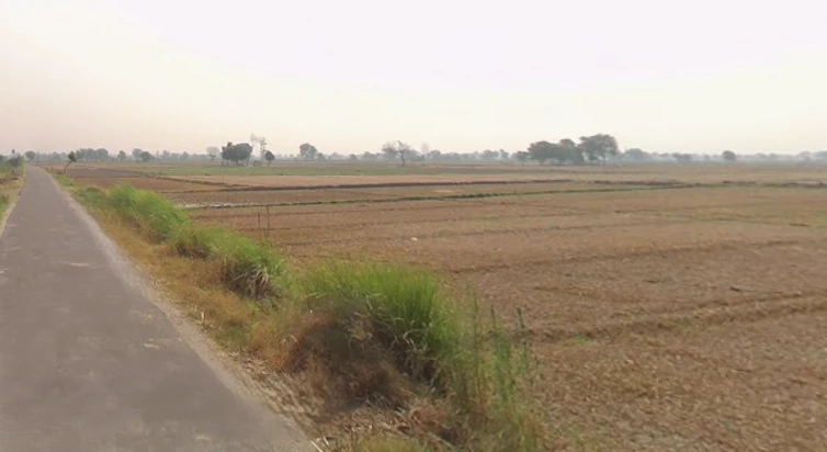Sikandrabad, Uttar Pradesh 203205, India