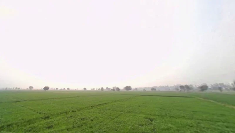 Mahua Hwy, Toda Nagar, Rajasthan, India preview 2