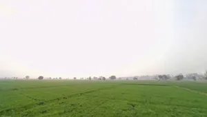 Mahua Hwy, Toda Nagar, Rajasthan, India preview 2