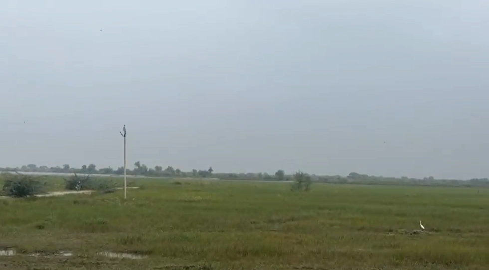 MDR 56, Kushayata, Rajasthan 311202, India