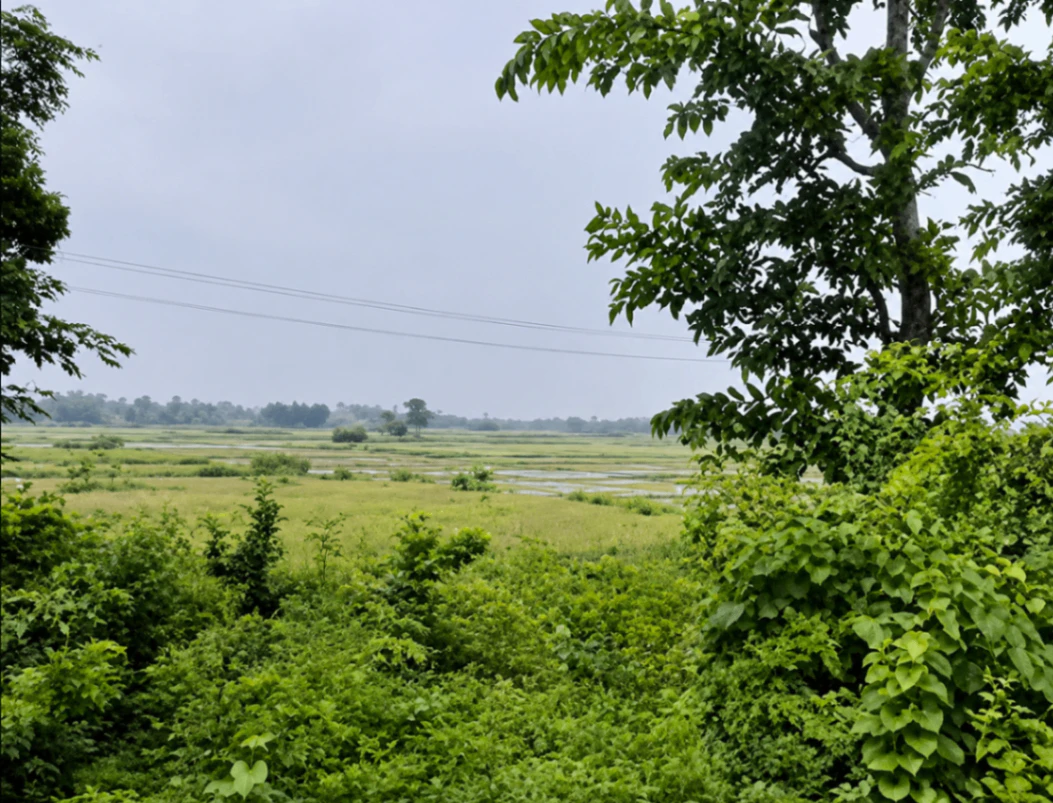 Prithvipura, Alwar, Rajasthan, India