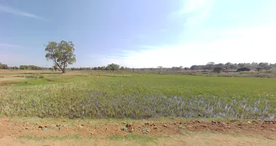 Kalyani, West Bengal, India preview 3