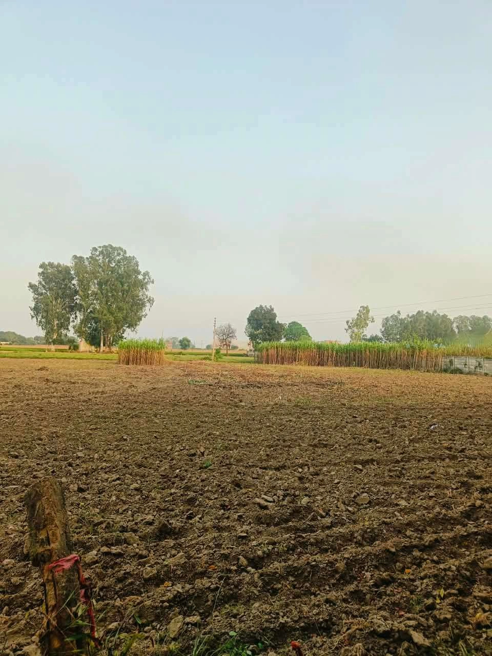 Bera, Mathura, Uttar Pradesh 281205, India - Photo 3